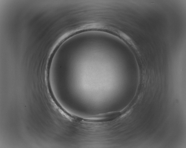 X0000081291334200701111348