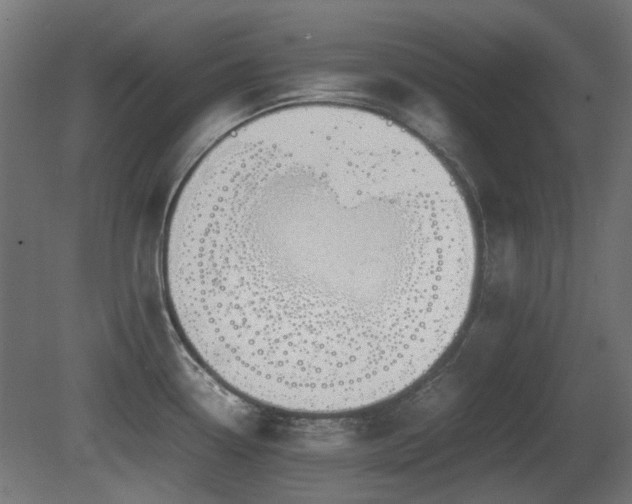 X0000081291338200701111348
