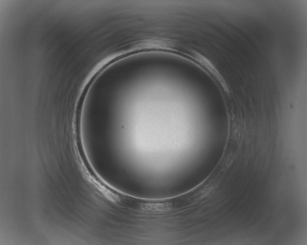 X0000081291339200701111348