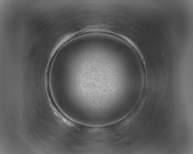 X0000081291341200701111348