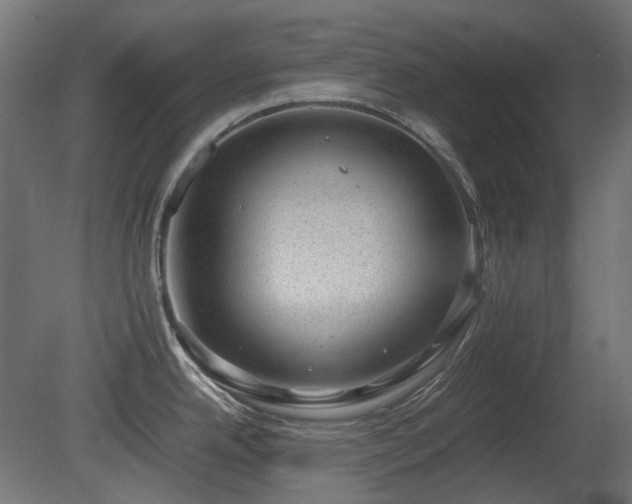X0000081291342200701111348