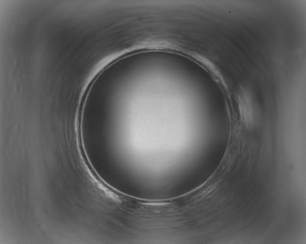 X0000081291343200701111349