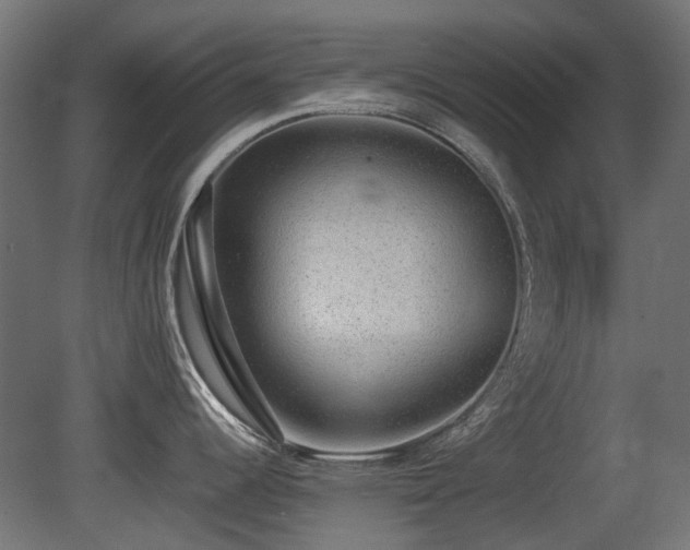 X0000081291344200701111349