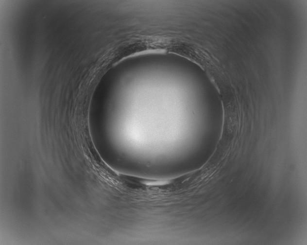 X0000081291345200701111348