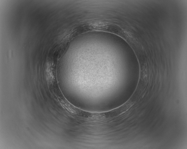 X0000081291346200701111348