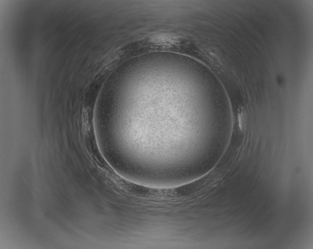 X0000081291347200701111348