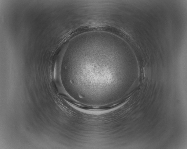 X0000081291348200701111348