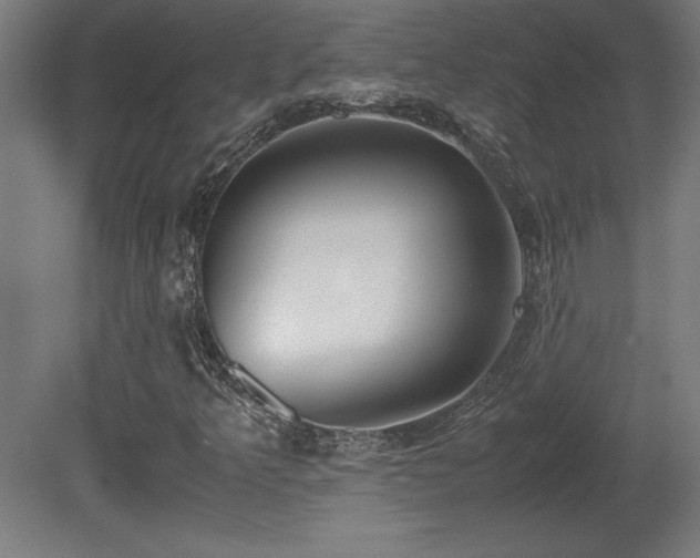 X0000081291349200701111348