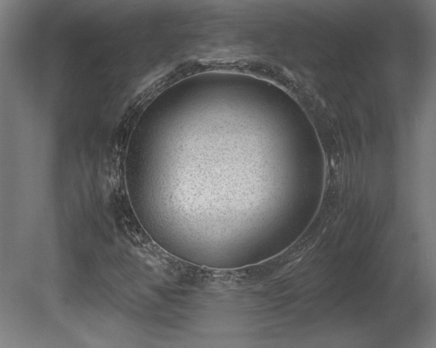 X0000081291350200701111348