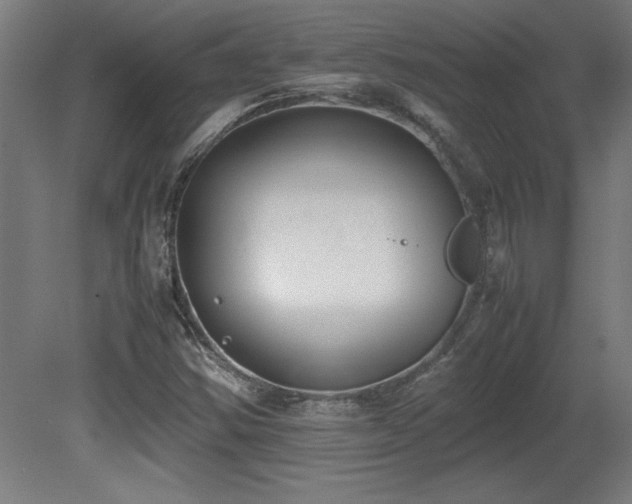 X0000081291354200701111348