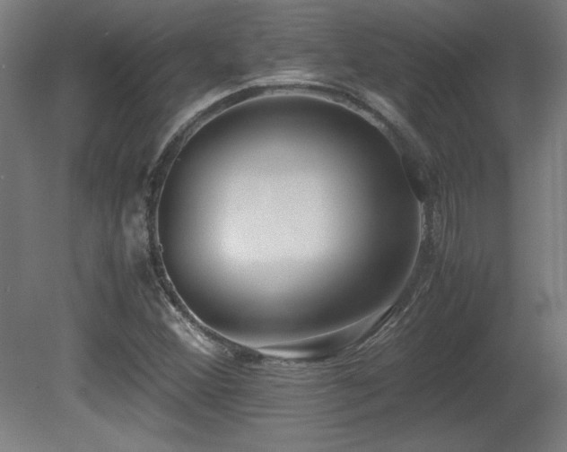 X0000081291356200701111348