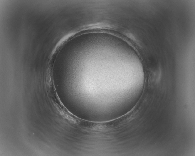 X0000081291358200701111347