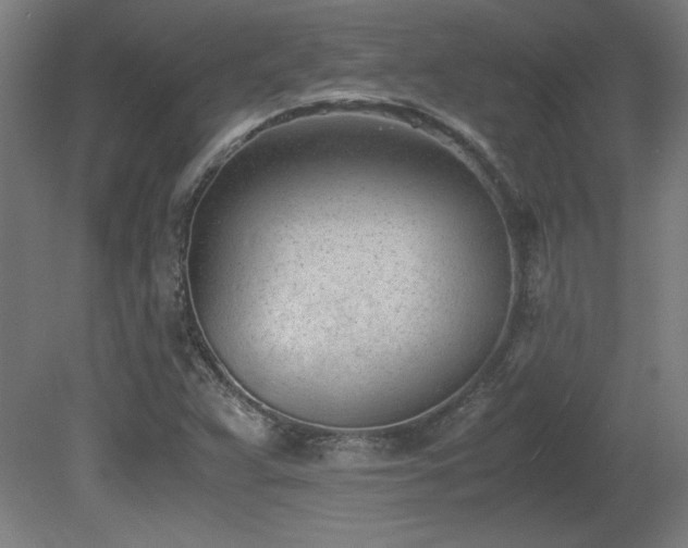 X0000081291359200701111347
