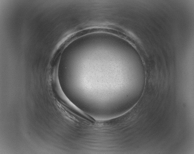 X0000081291360200701111347
