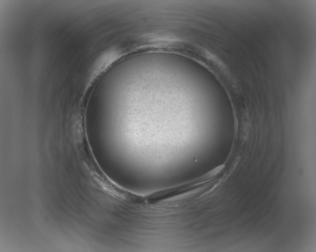 X0000081291362200701111347