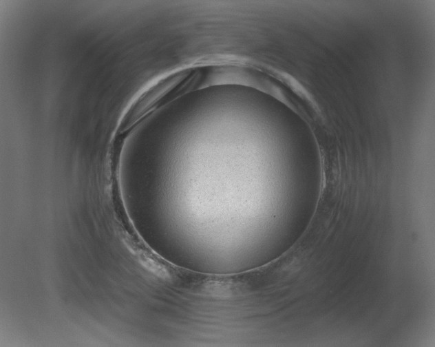 X0000081291364200701111347