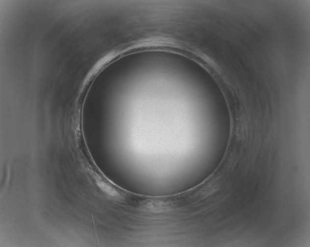 X0000081291366200701111347