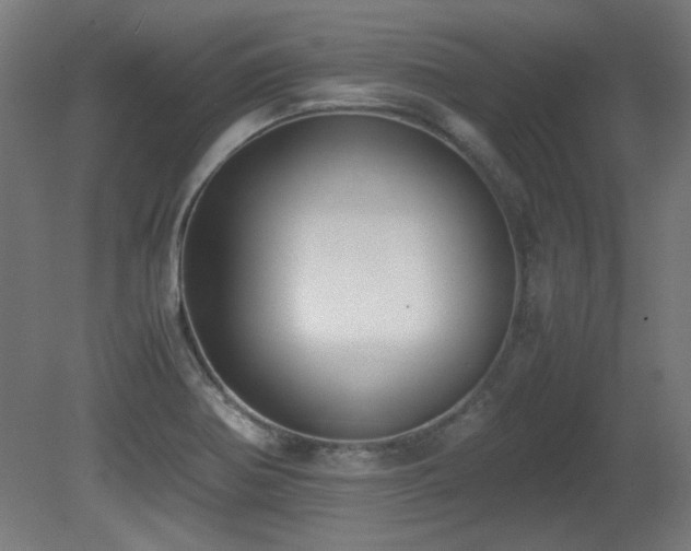 X0000081291370200701111347