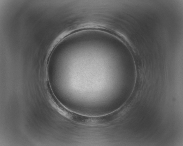 X0000081291371200701111347