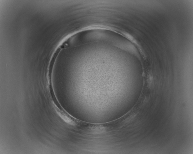 X0000081291372200701111347
