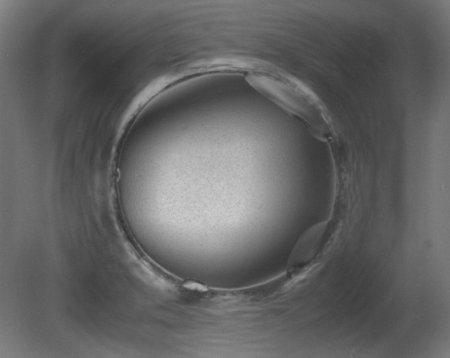 X0000081291373200701111347