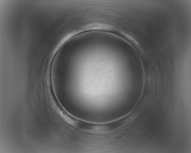 X0000081291375200701111347