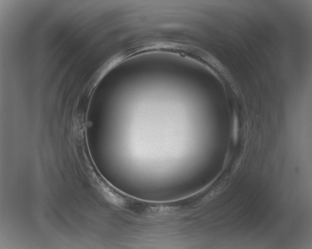 X0000081291377200701111347
