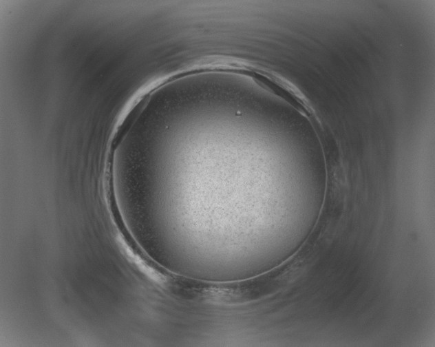 X0000081291379200701111347