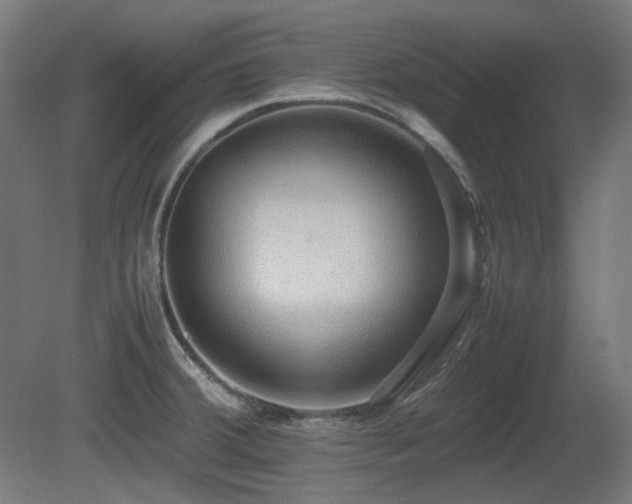 X0000081291380200701111347