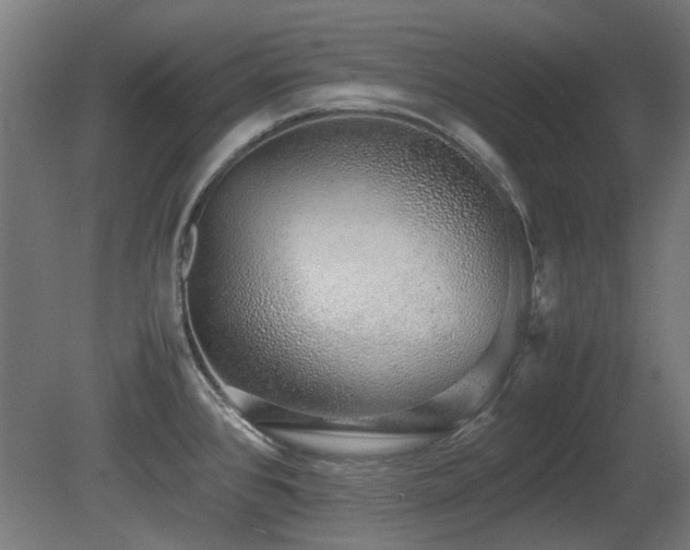 X0000081291384200701111347