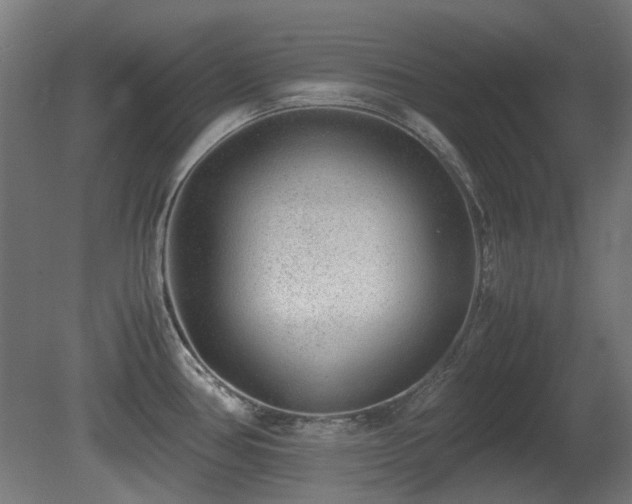 X0000081291386200701111347