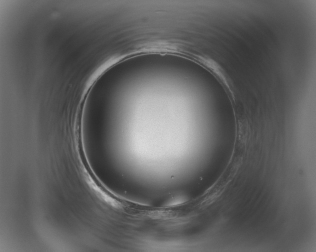 X0000081291387200701111347