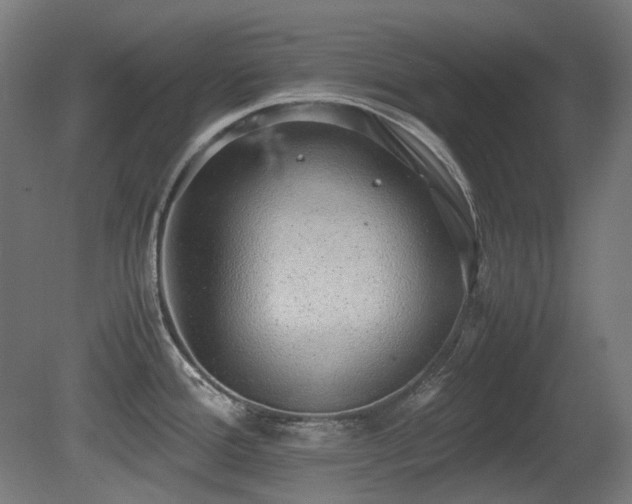 X0000081291388200701111347