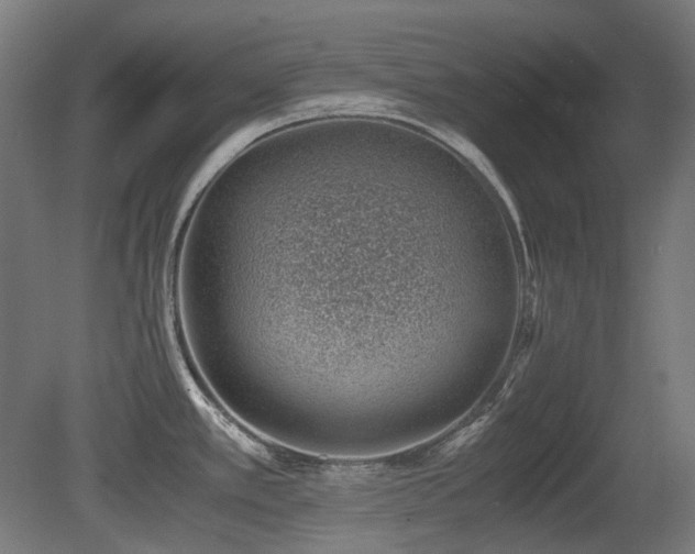 X0000081291389200701111347