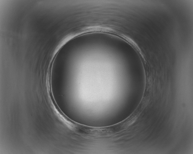 X0000081291391200701111347