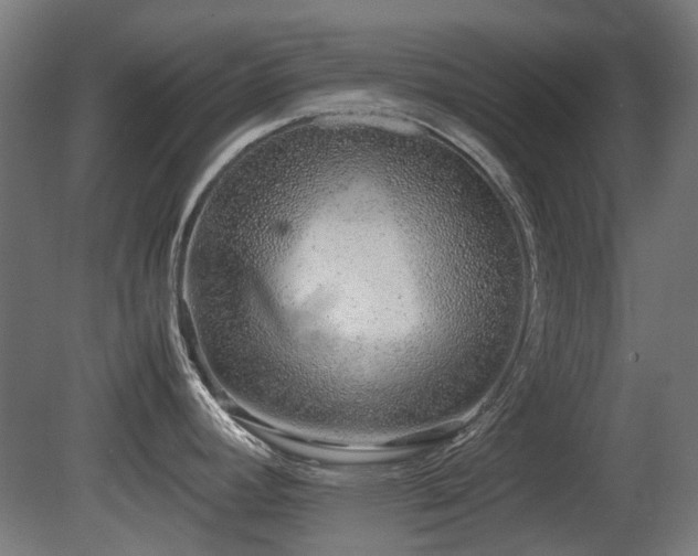 X0000081291392200701111347