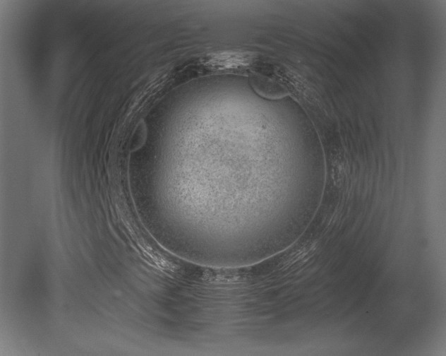 X0000081291393200701111346