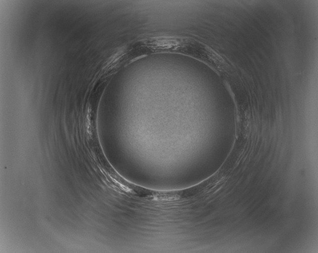X0000081291394200701111346