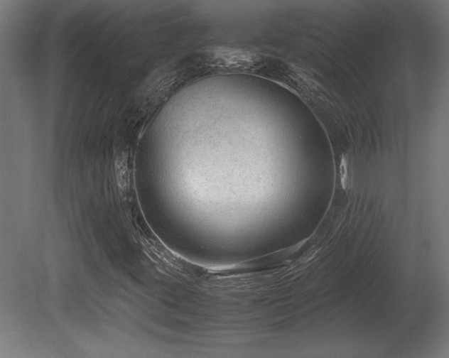 X0000081291395200701111346