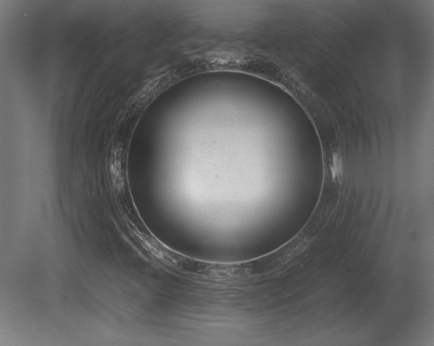 X0000081291396200701111346