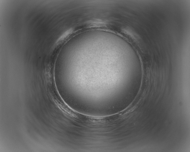 X0000081291403200701111346