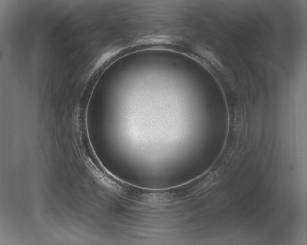 X0000081291404200701111346