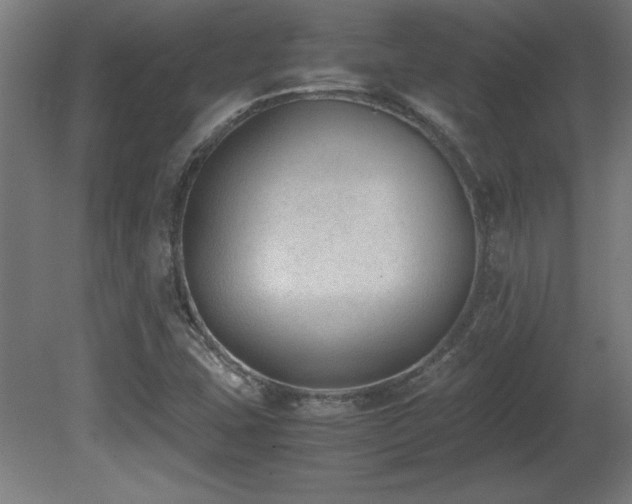 X0000081291407200701111346