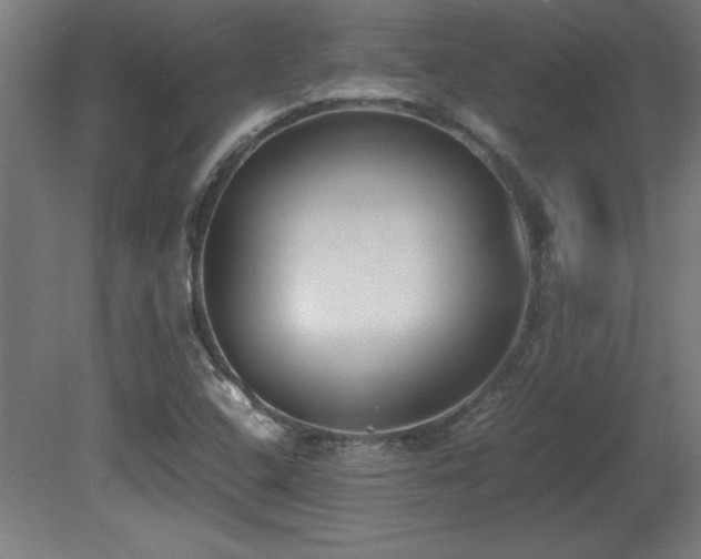 X0000081291408200701111346
