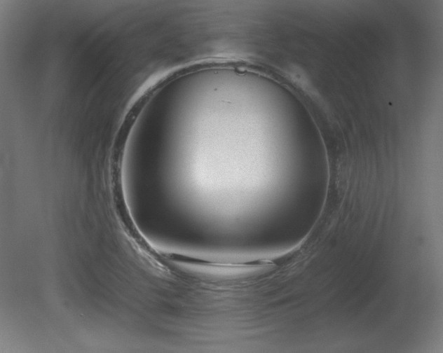 X0000081291412200701111346