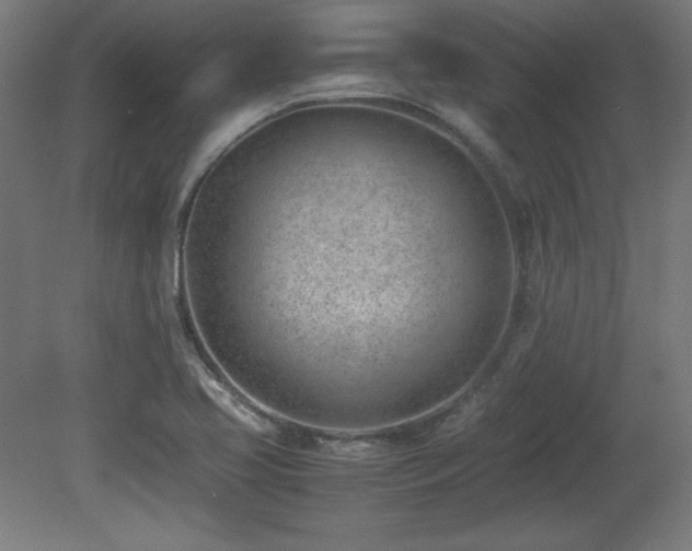 X0000081291413200701111346
