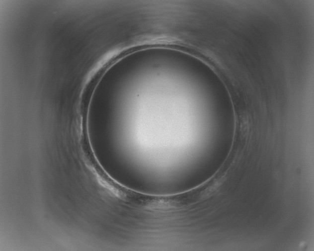 X0000081291414200701111346