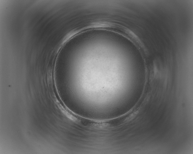 X0000081291417200701111347