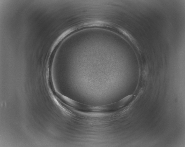 X0000081291418200701111347