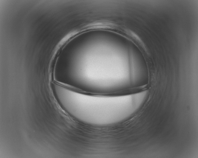 X0000081291419200701111347